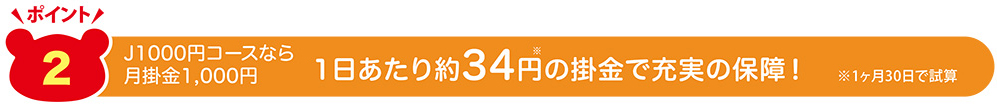 1日あたり約34円の掛金で充実の保障!