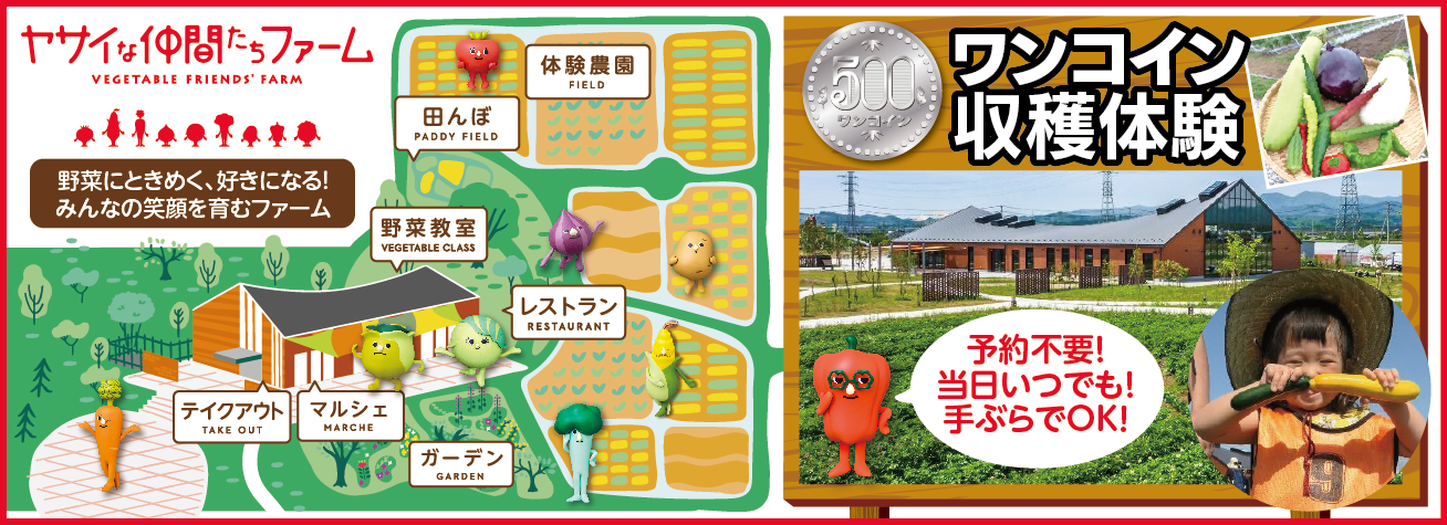 ヤサイな仲間たちファーム
