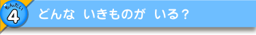 どんな いきものが いる？