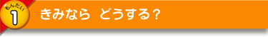 きみなら どうする？