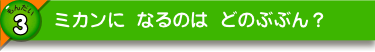 ミカンに なるのは どのぶぶん？