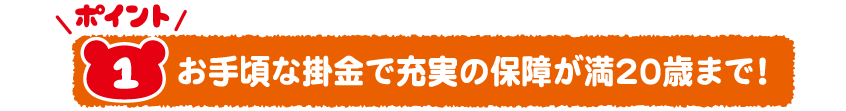 Point1お手頃な掛け金で充実の保証が満20歳まで！