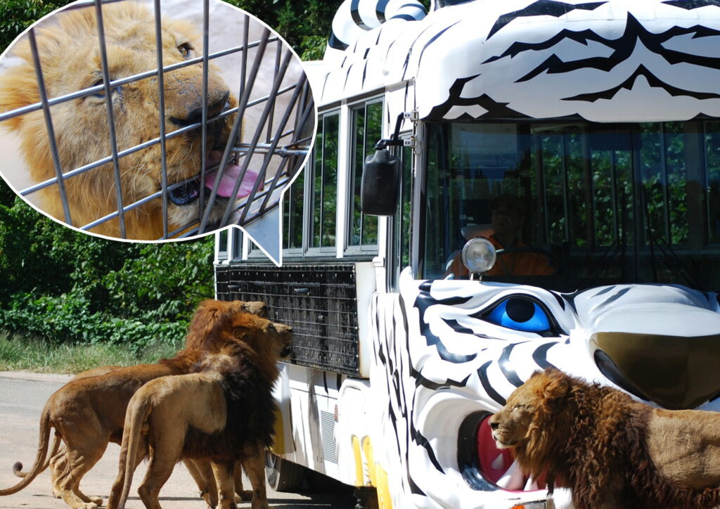 【1組2名様に当たる】　入園御招待券ペア