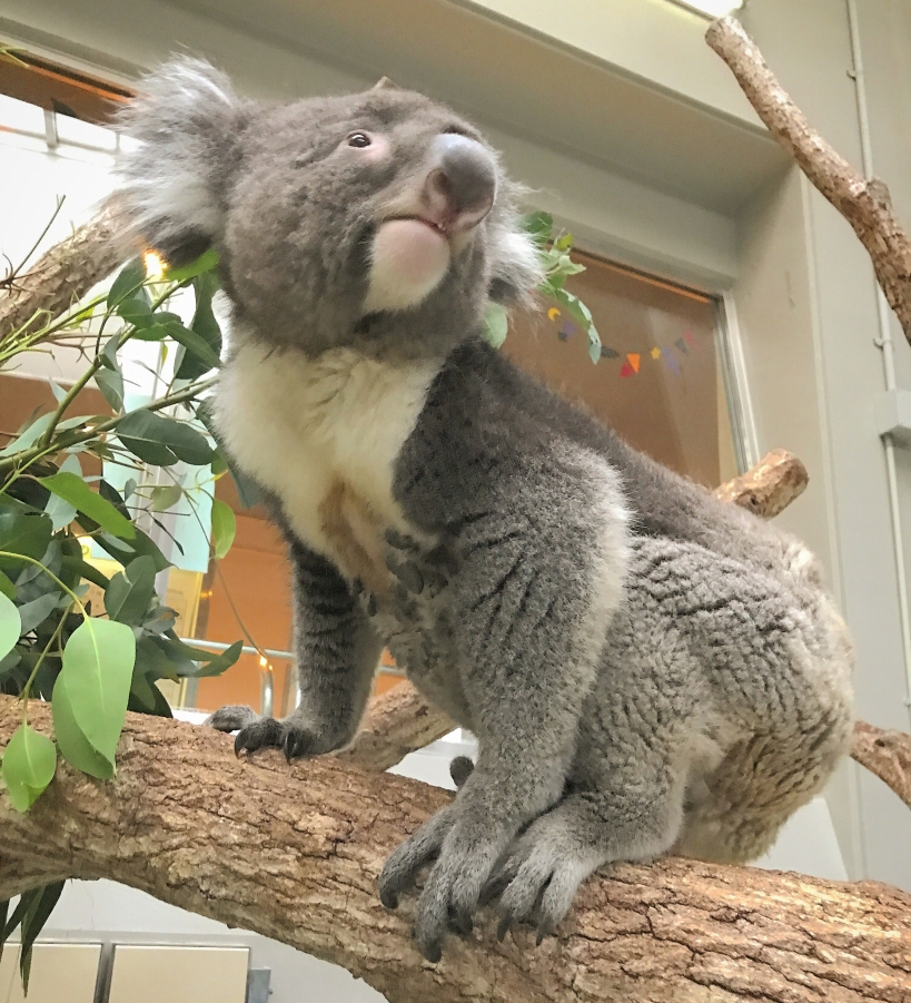 【5組10名様に当たる】　入園ペア招待券