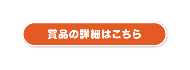 商品の詳細はこちら