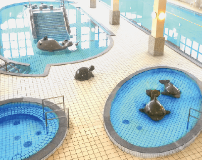 天然温泉 大家族の湯